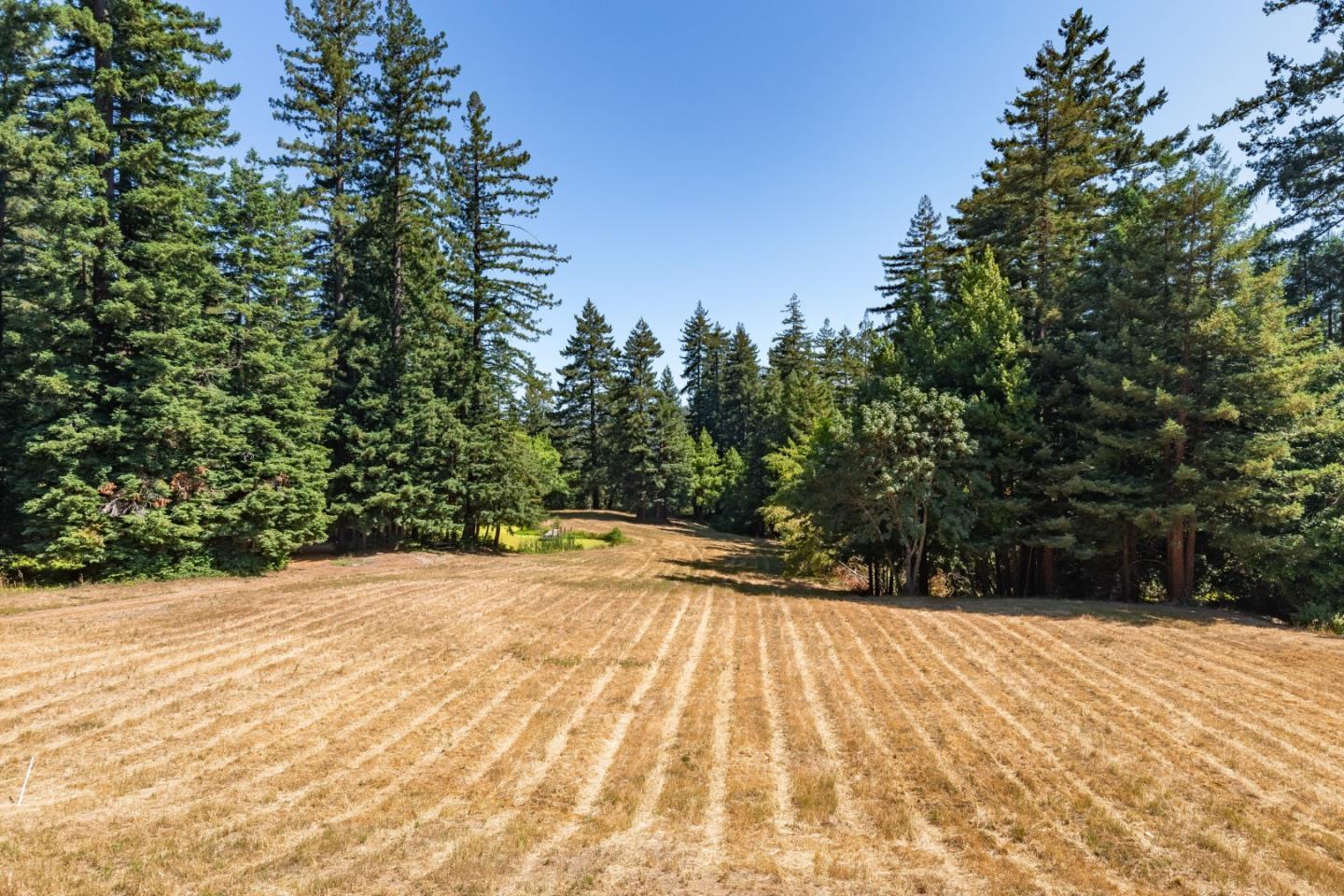 Detail Gallery Image 33 of 60 For 22700 Old Santa Cruz Hwy, Los Gatos,  CA 95033 - 5 Beds | 4/3 Baths