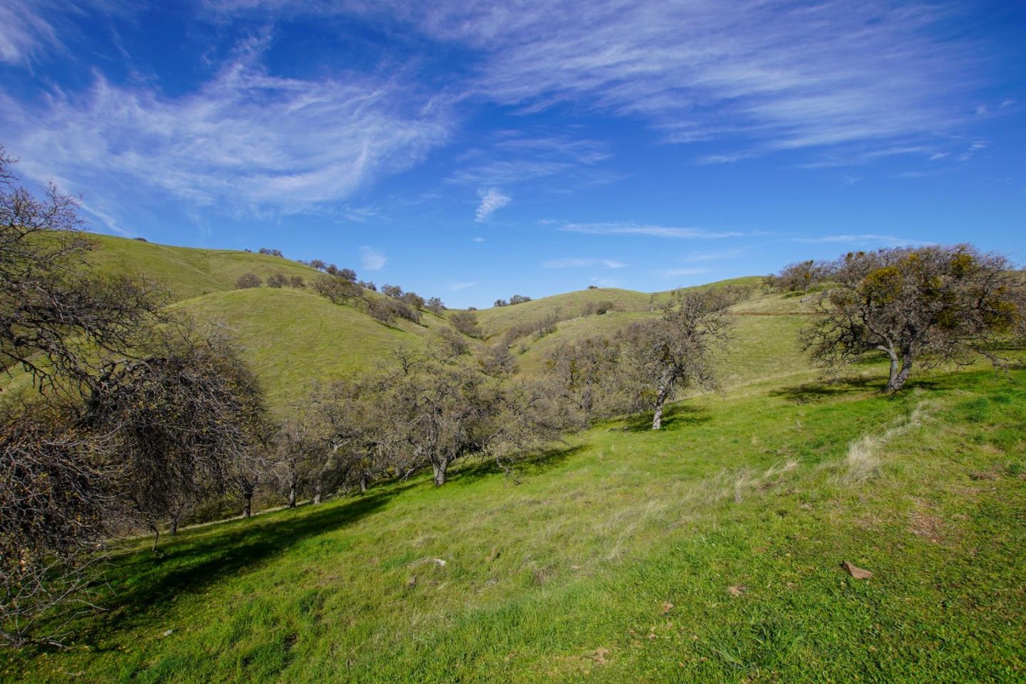 Detail Gallery Image 10 of 10 For 20041 Panoche Rd, Paicines,  CA 95043 - – Beds | – Baths