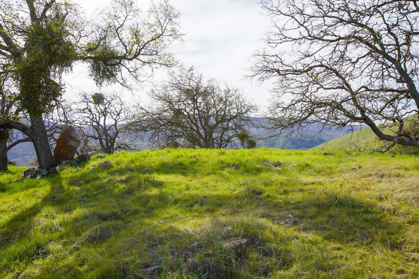 Detail Gallery Image 5 of 10 For 20041 Panoche Rd, Paicines,  CA 95043 - – Beds | – Baths