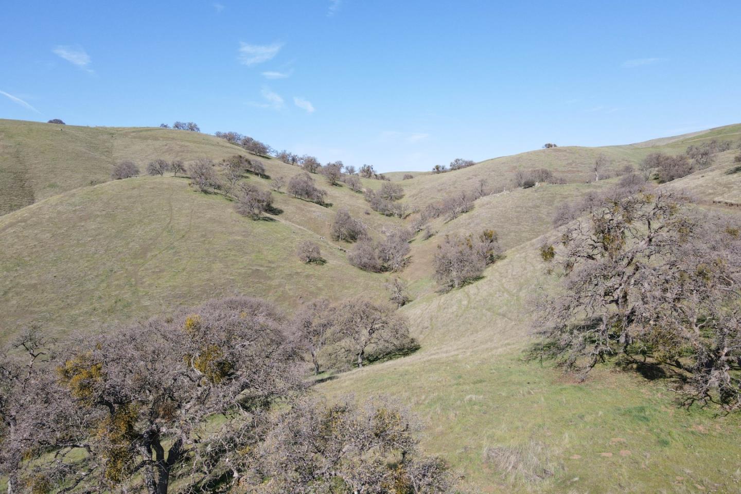 Detail Gallery Image 6 of 10 For 20041 Panoche Rd, Paicines,  CA 95043 - – Beds | – Baths