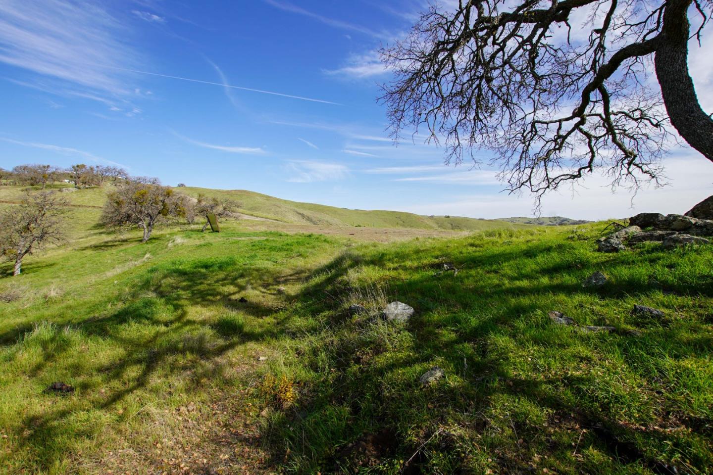 Detail Gallery Image 8 of 10 For 20041 Panoche Rd, Paicines,  CA 95043 - – Beds | – Baths