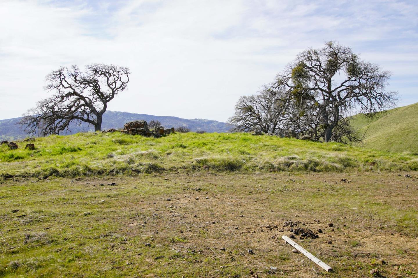 Detail Gallery Image 9 of 10 For 20041 Panoche Rd, Paicines,  CA 95043 - – Beds | – Baths