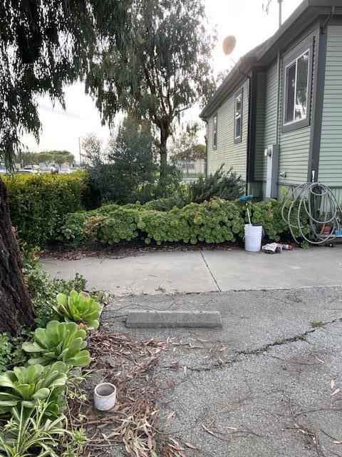 Detail Gallery Image 5 of 7 For 10399 Merritt St, Castroville,  CA 95012 - – Beds | – Baths