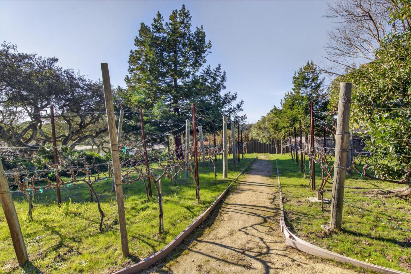 Detail Gallery Image 28 of 41 For 9570 S Century Oak Rd, Prunedale,  CA 93907 - 3 Beds | 2 Baths