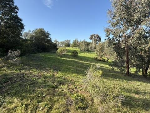 Detail Gallery Image 10 of 34 For 2100 Woods Lane, Los Altos,  CA 94022 - – Beds | – Baths