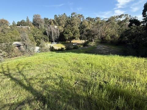 Detail Gallery Image 11 of 34 For 2100 Woods Lane, Los Altos,  CA 94022 - – Beds | – Baths