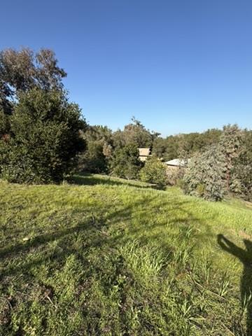 Detail Gallery Image 12 of 34 For 2100 Woods Lane, Los Altos,  CA 94022 - – Beds | – Baths