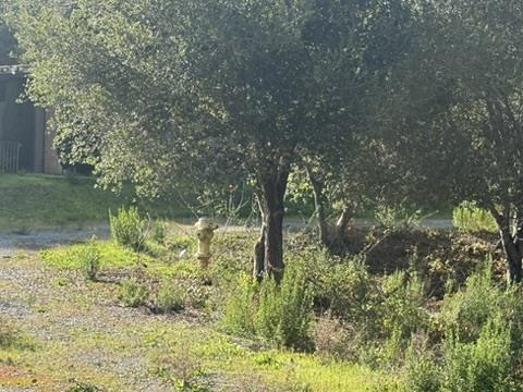 2100 Woods Lane, Los Altos, CA, 94022