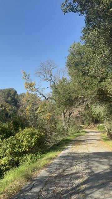 2100 Woods Lane, Los Altos, CA, 94022