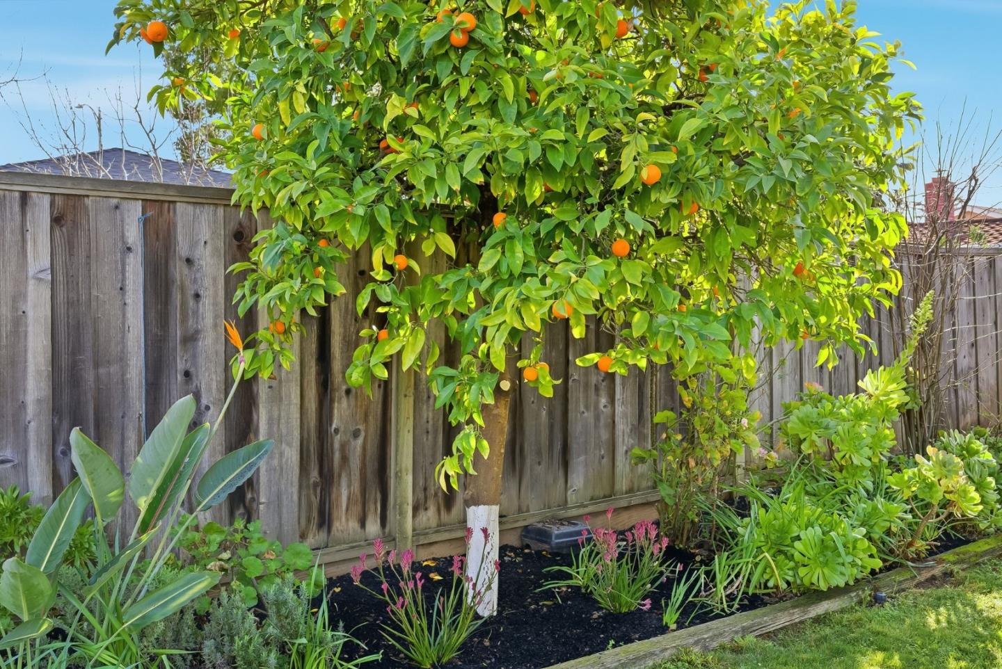 Detail Gallery Image 32 of 46 For 4754 Bannock Cir, San Jose,  CA 95130 - 3 Beds | 2 Baths