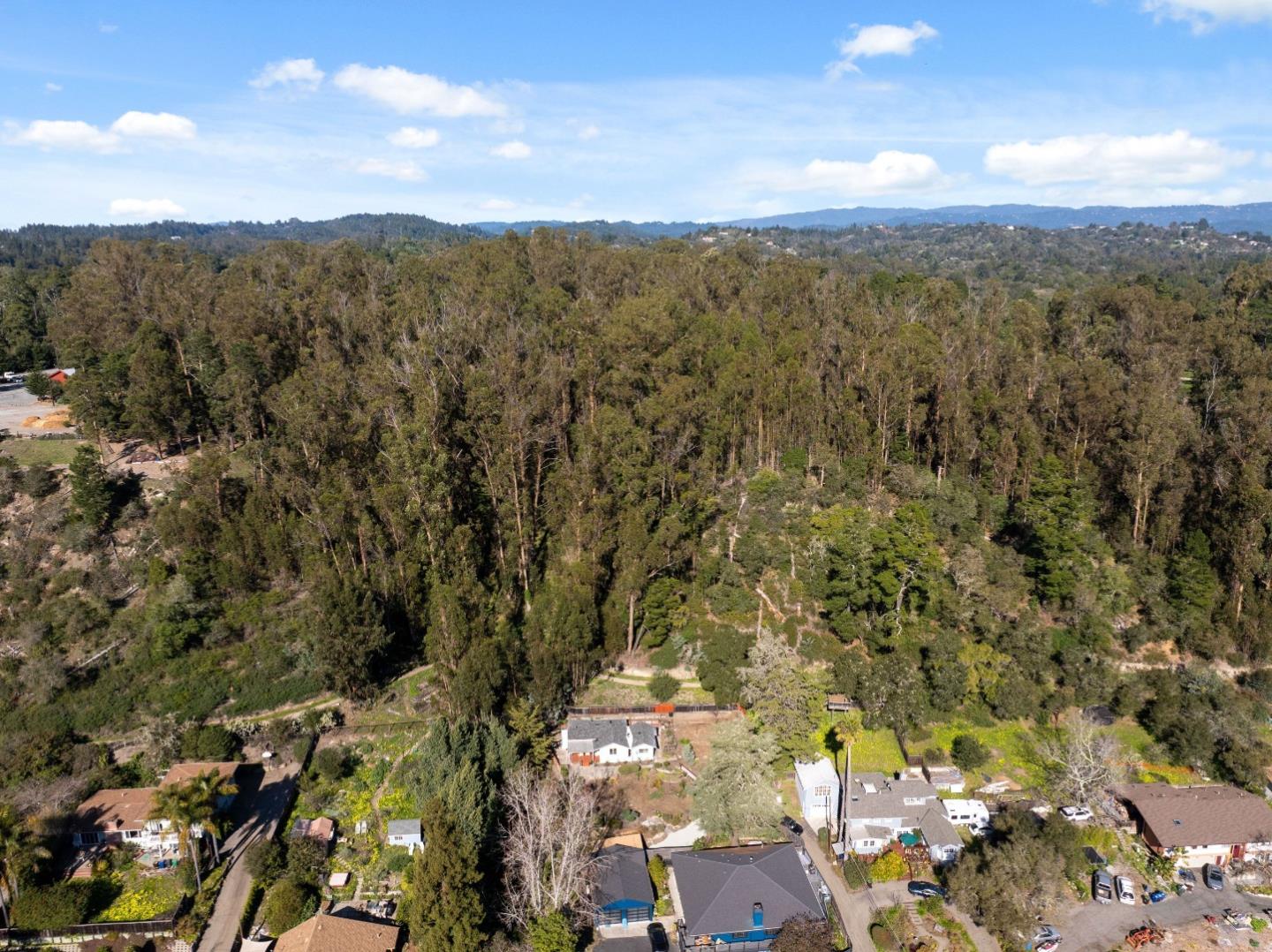 Detail Gallery Image 30 of 40 For 131 Prospect Ct, Santa Cruz,  CA 95065 - 3 Beds | 1/1 Baths