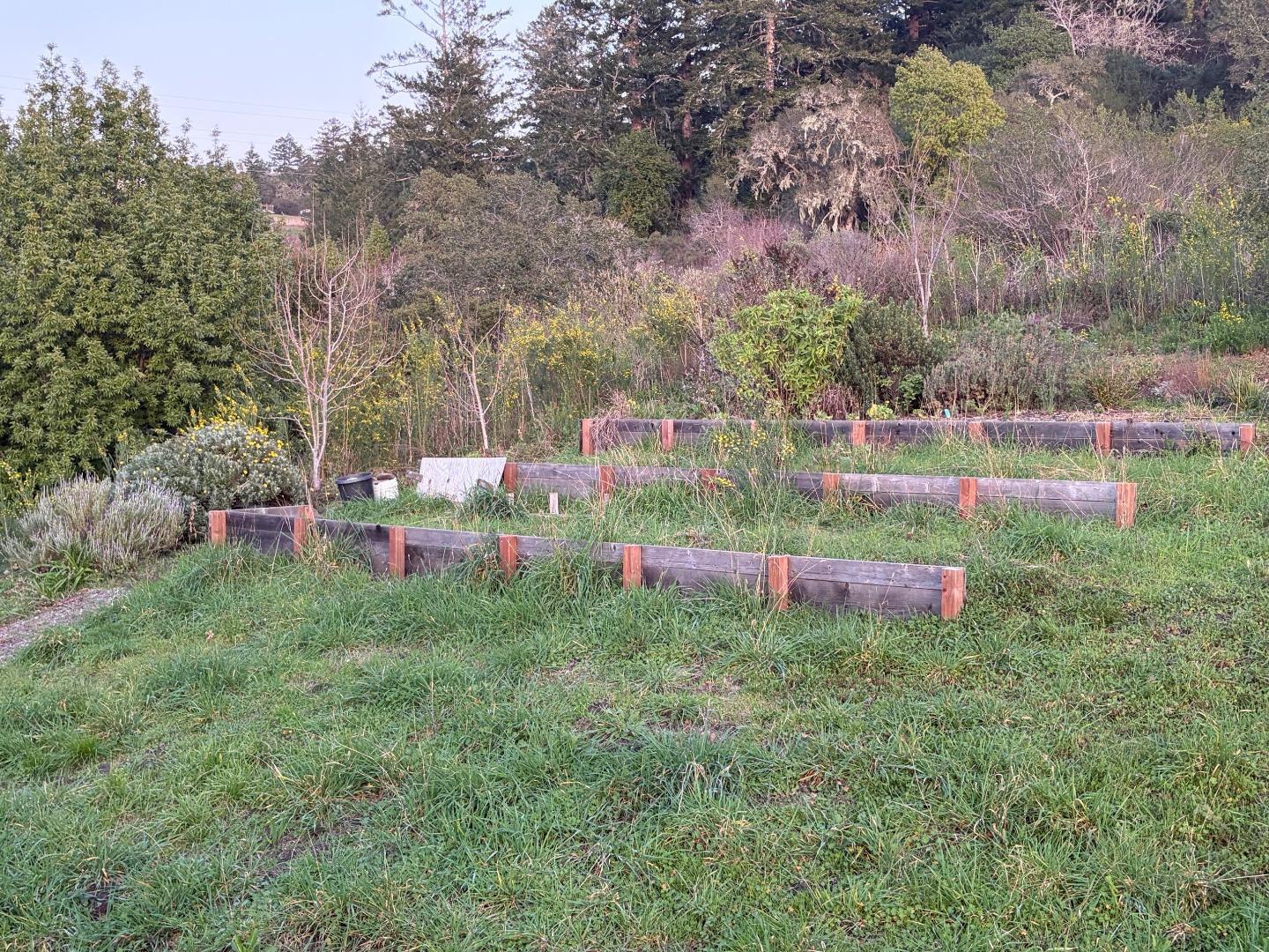 Detail Gallery Image 22 of 32 For 11100 La Honda Rd, Redwood City,  CA 94062 - 2 Beds | 1 Baths