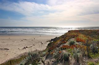 Detail Gallery Image 18 of 40 For 53 Pelican Pt, Watsonville,  CA 95076 - 1 Beds | 1 Baths