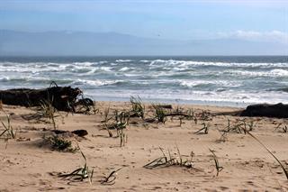 Detail Gallery Image 2 of 40 For 53 Pelican Pt, Watsonville,  CA 95076 - 1 Beds | 1 Baths