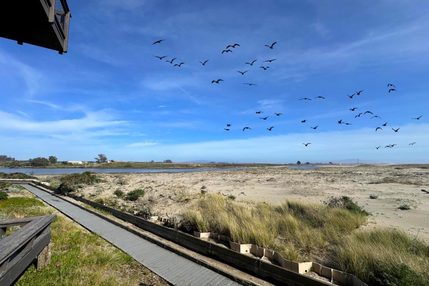 Detail Gallery Image 23 of 40 For 53 Pelican Pt, Watsonville,  CA 95076 - 1 Beds | 1 Baths