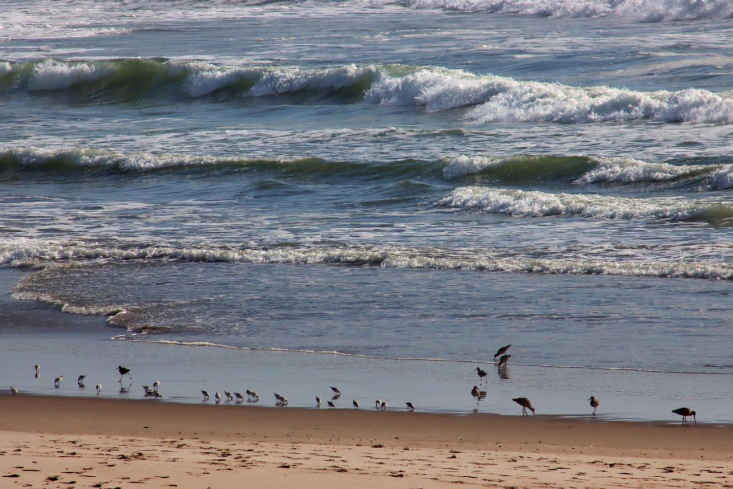 Detail Gallery Image 24 of 40 For 53 Pelican Pt, Watsonville,  CA 95076 - 1 Beds | 1 Baths