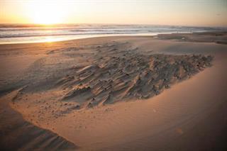 Detail Gallery Image 31 of 40 For 53 Pelican Pt, Watsonville,  CA 95076 - 1 Beds | 1 Baths