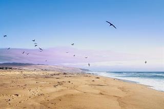 Detail Gallery Image 34 of 40 For 53 Pelican Pt, Watsonville,  CA 95076 - 1 Beds | 1 Baths