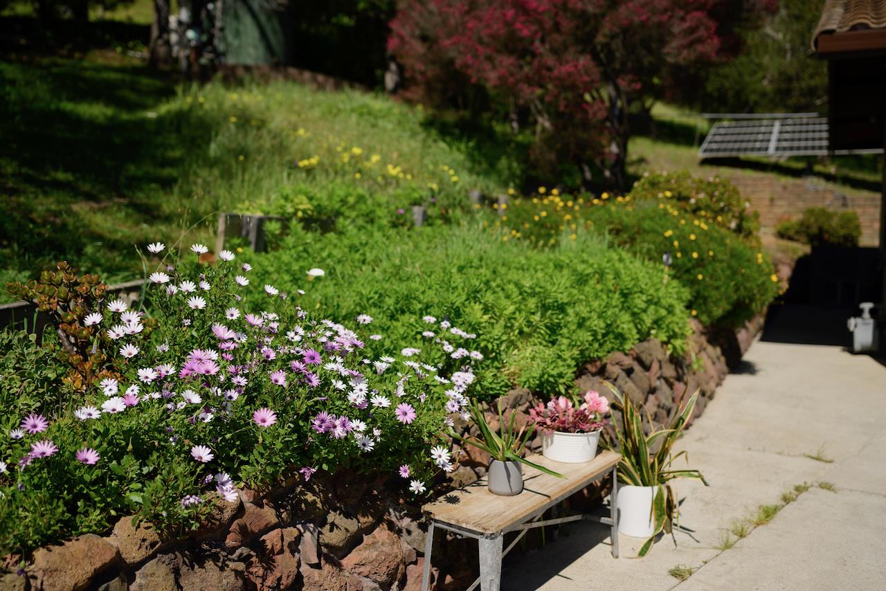 Detail Gallery Image 170 of 192 For 260 Rancho Soquel Rd, Soquel,  CA 95073 - 5 Beds | 5 Baths