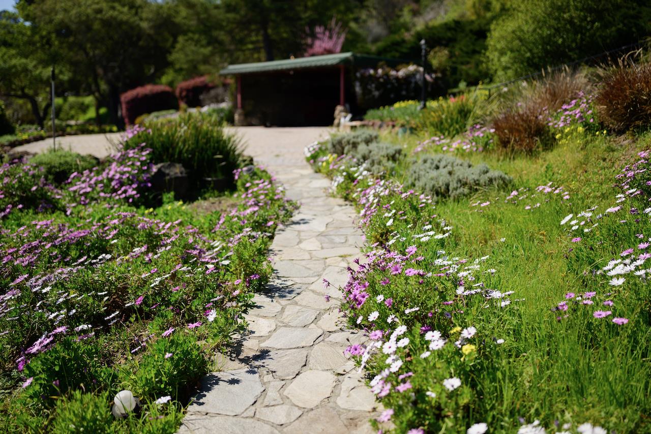 Detail Gallery Image 181 of 192 For 260 Rancho Soquel Rd, Soquel,  CA 95073 - 5 Beds | 5 Baths