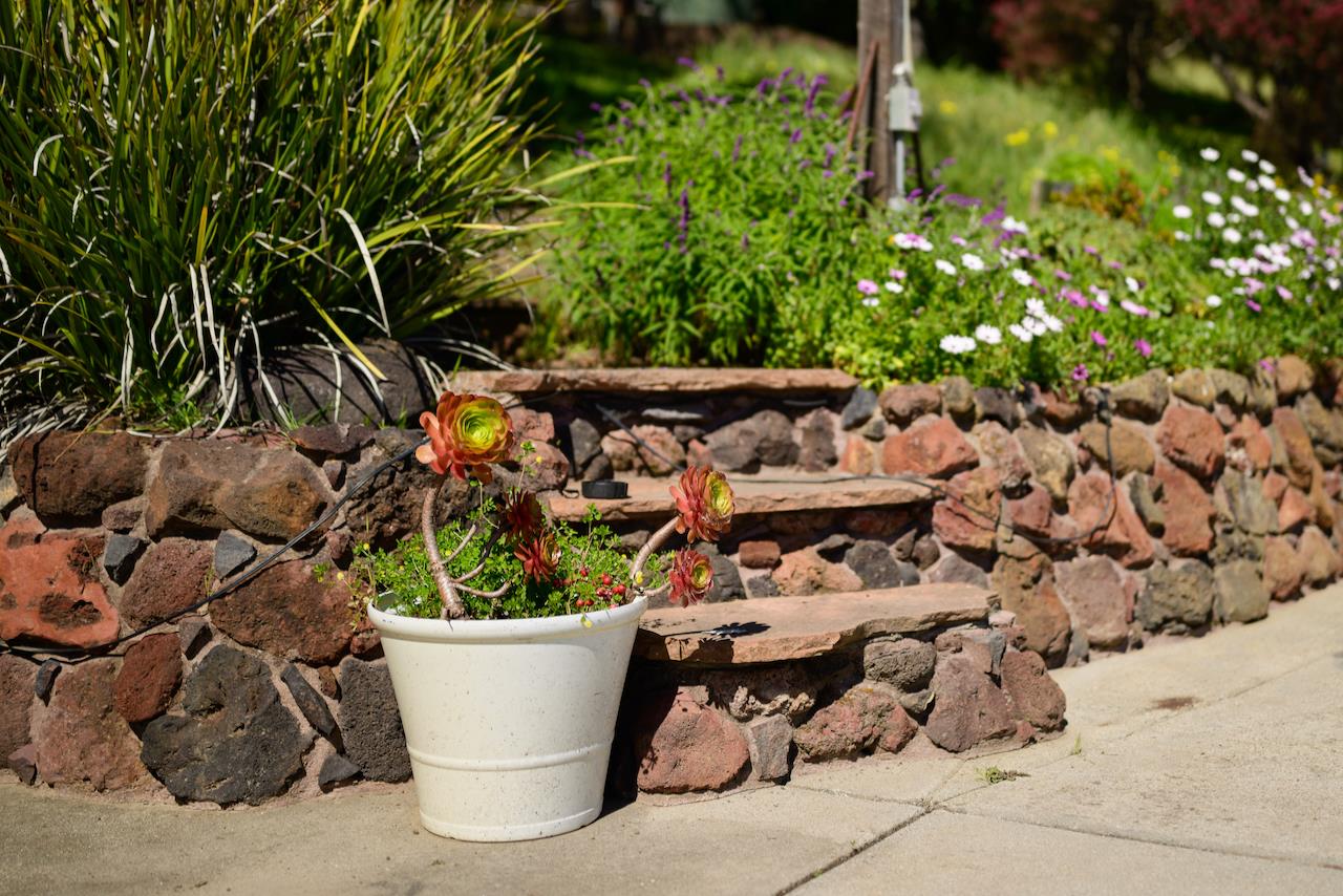 Detail Gallery Image 186 of 192 For 260 Rancho Soquel Rd, Soquel,  CA 95073 - 5 Beds | 5 Baths