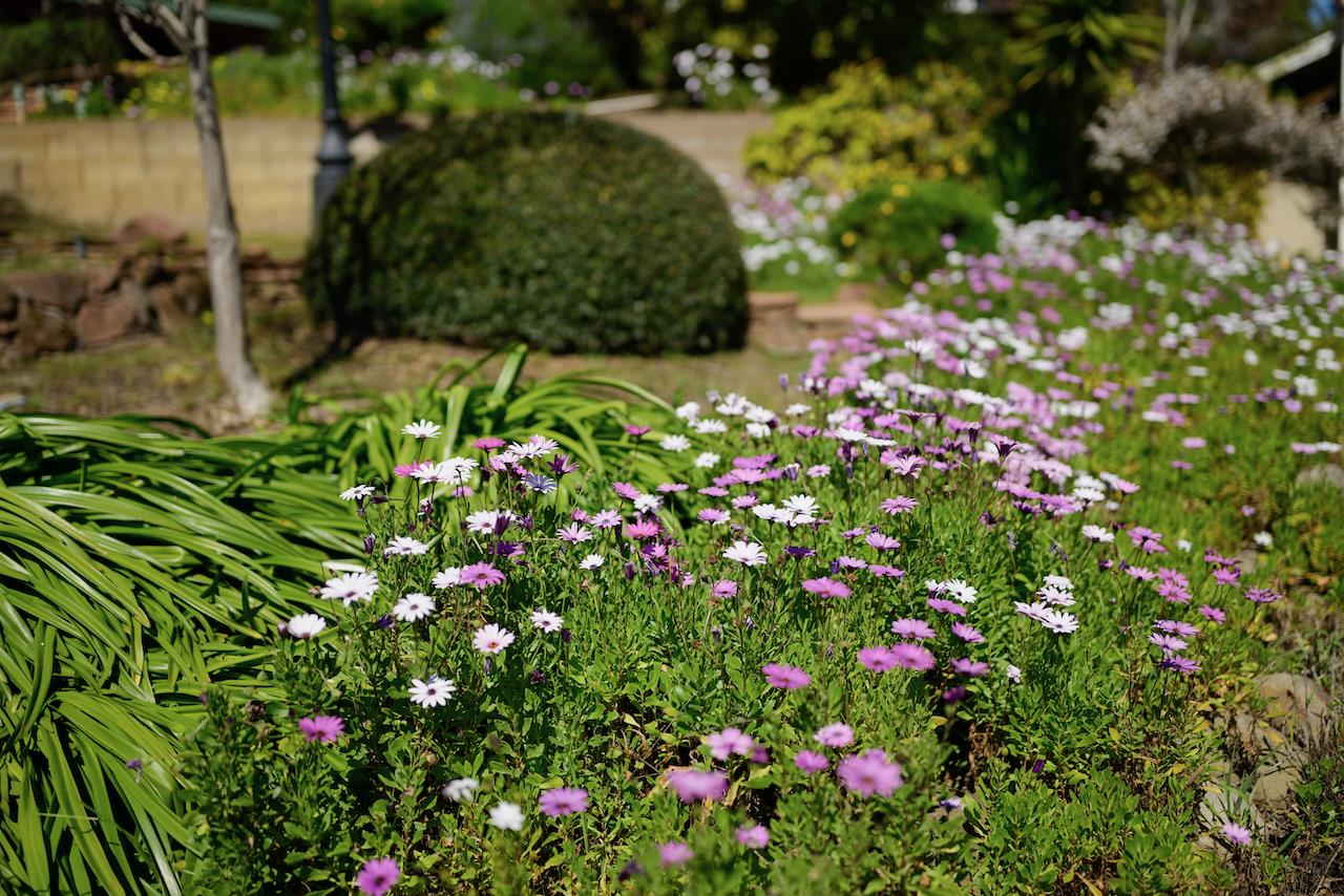 Detail Gallery Image 98 of 192 For 260 Rancho Soquel Rd, Soquel,  CA 95073 - 5 Beds | 5 Baths