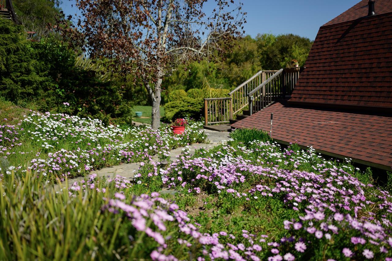 Detail Gallery Image 99 of 192 For 260 Rancho Soquel Rd, Soquel,  CA 95073 - 5 Beds | 5 Baths