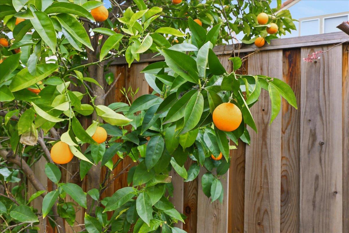 Detail Gallery Image 66 of 66 For 3037 Rosato Ct, San Jose,  CA 95135 - 4 Beds | 3 Baths