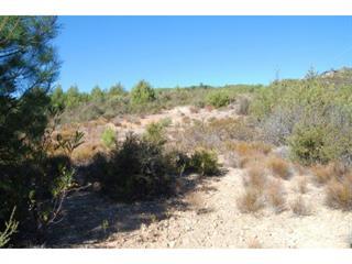 Detail Gallery Image 6 of 8 For 0 Croy Rd, Morgan Hill,  CA 95037 - – Beds | – Baths