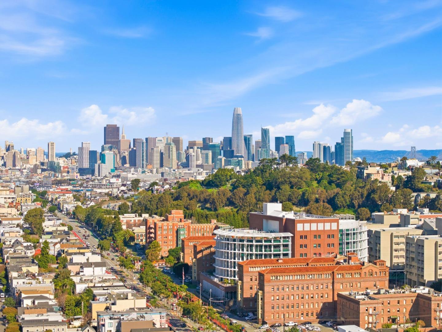 Detail Gallery Image 13 of 14 For 1270 Hampshire St, San Francisco,  CA 94110 - – Beds | – Baths