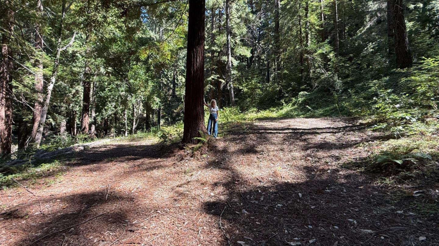 Detail Gallery Image 3 of 8 For 15645 Stetson Rd, Los Gatos,  CA 95033 - – Beds | – Baths