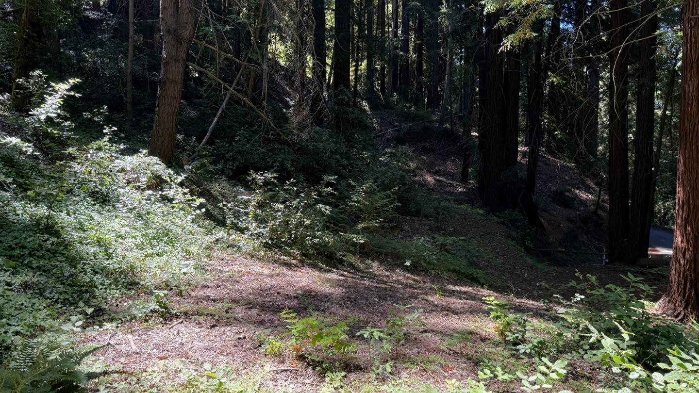 Detail Gallery Image 6 of 8 For 15645 Stetson Rd, Los Gatos,  CA 95033 - – Beds | – Baths