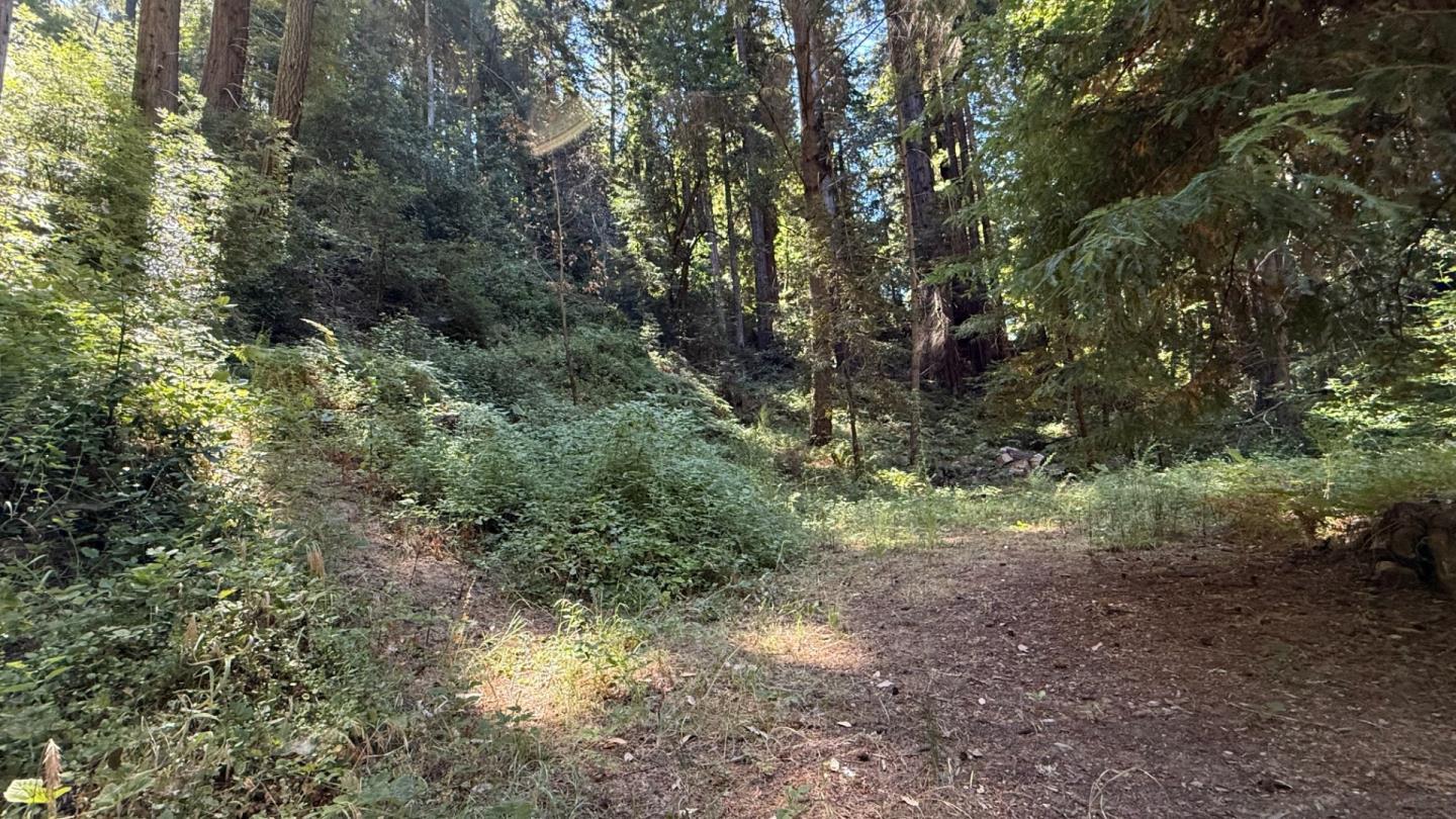 Detail Gallery Image 7 of 8 For 15645 Stetson Rd, Los Gatos,  CA 95033 - – Beds | – Baths