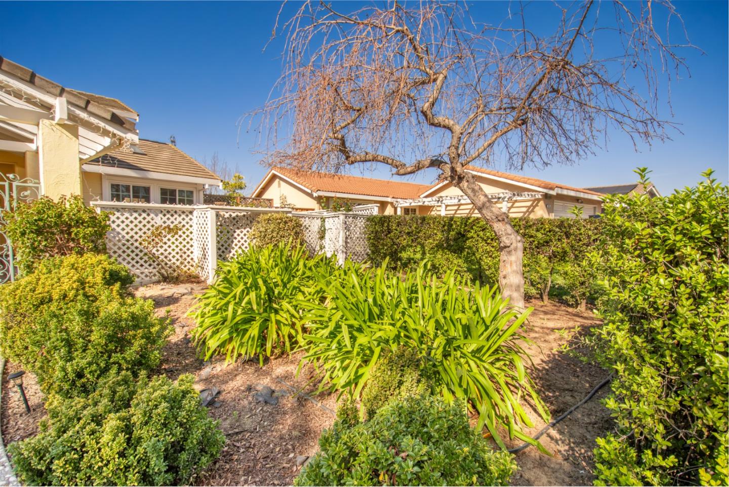 Detail Gallery Image 48 of 57 For 985 Summerfield, San Jose,  CA 95121 - 4 Beds | 2/1 Baths