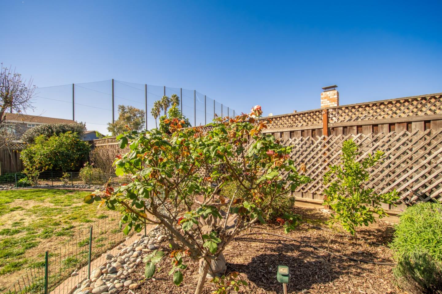 Detail Gallery Image 56 of 57 For 985 Summerfield, San Jose,  CA 95121 - 4 Beds | 2/1 Baths