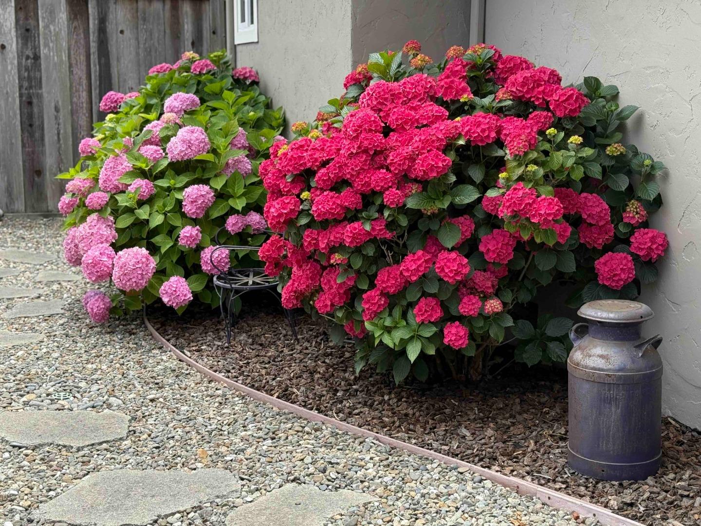 Detail Gallery Image 30 of 44 For 522 Spruce St, Aptos,  CA 95003 - 2 Beds | 2 Baths