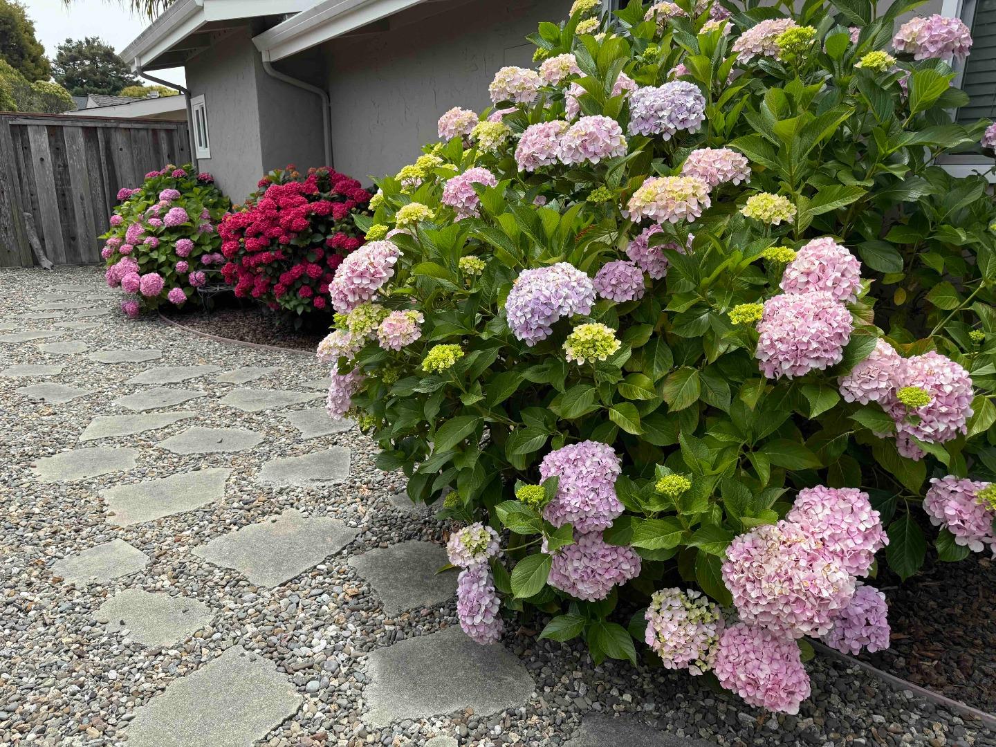 Detail Gallery Image 31 of 44 For 522 Spruce St, Aptos,  CA 95003 - 2 Beds | 2 Baths