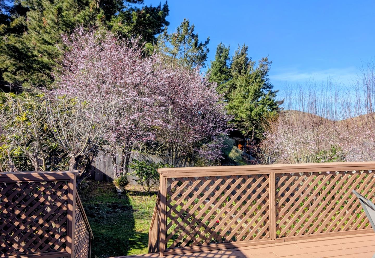 Detail Gallery Image 23 of 29 For 240 Lauren Ave, Pacifica,  CA 94044 - 3 Beds | 2 Baths