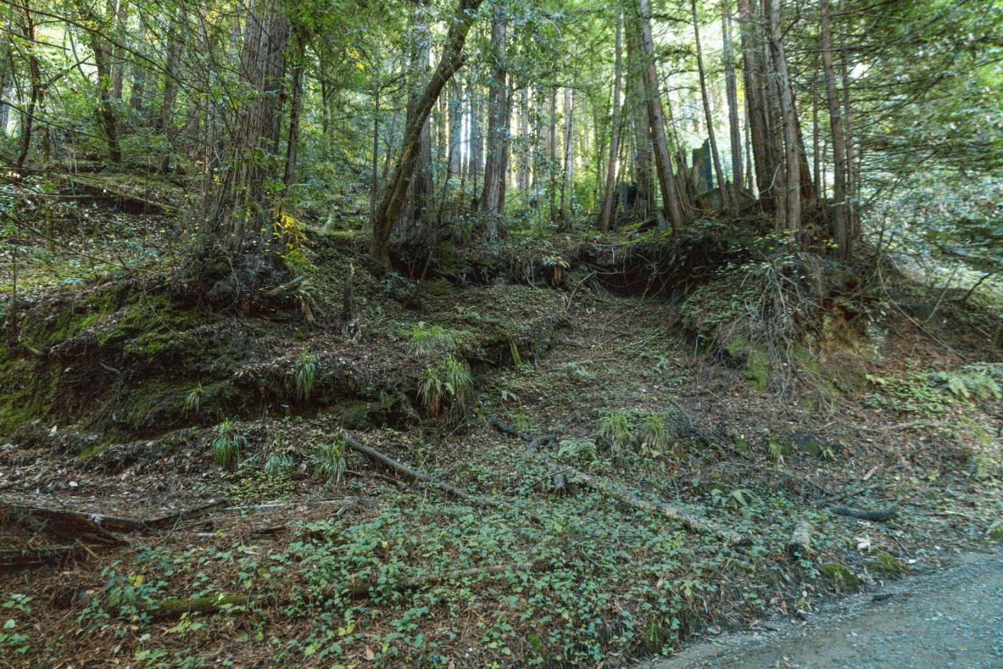 Detail Gallery Image 10 of 24 For 0 Pringle Ln, Soquel,  CA 95073 - – Beds | – Baths