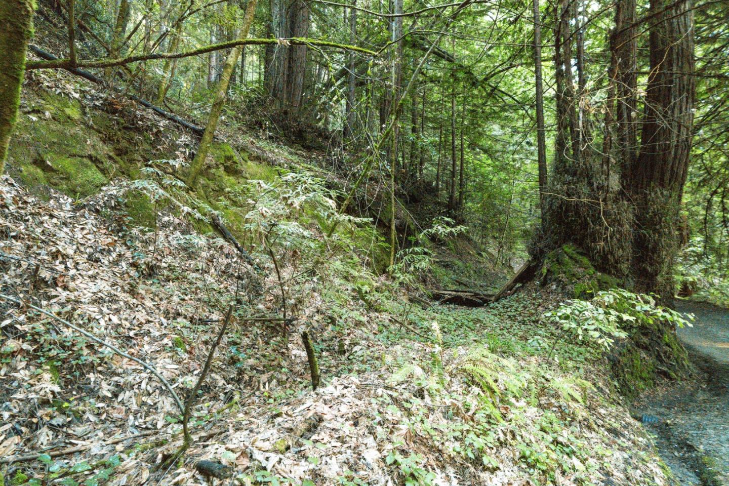 Detail Gallery Image 12 of 24 For 0 Pringle Ln, Soquel,  CA 95073 - – Beds | – Baths