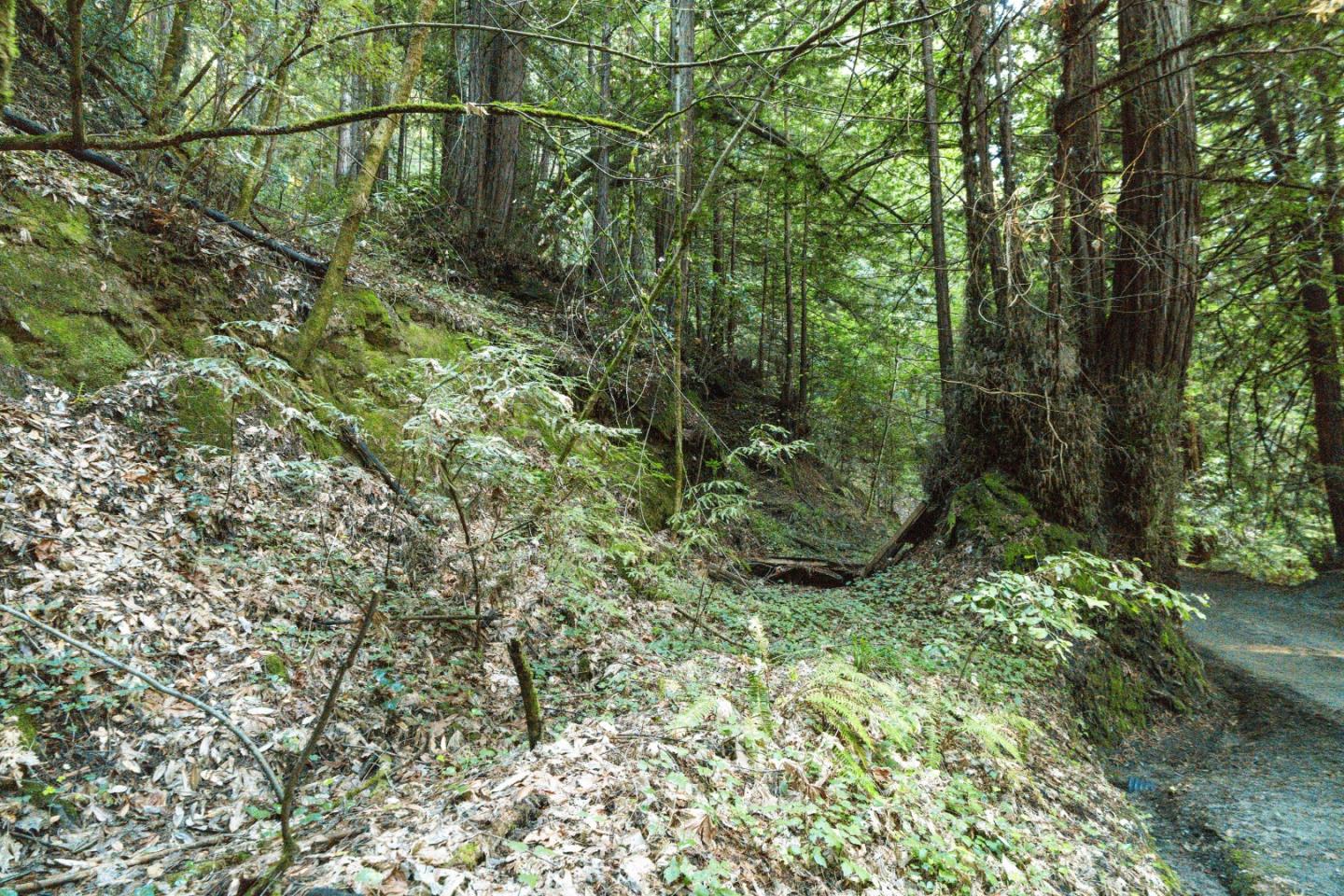 Detail Gallery Image 13 of 24 For 0 Pringle Ln, Soquel,  CA 95073 - – Beds | – Baths