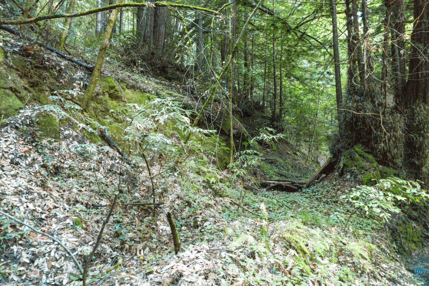 Detail Gallery Image 14 of 24 For 0 Pringle Ln, Soquel,  CA 95073 - – Beds | – Baths