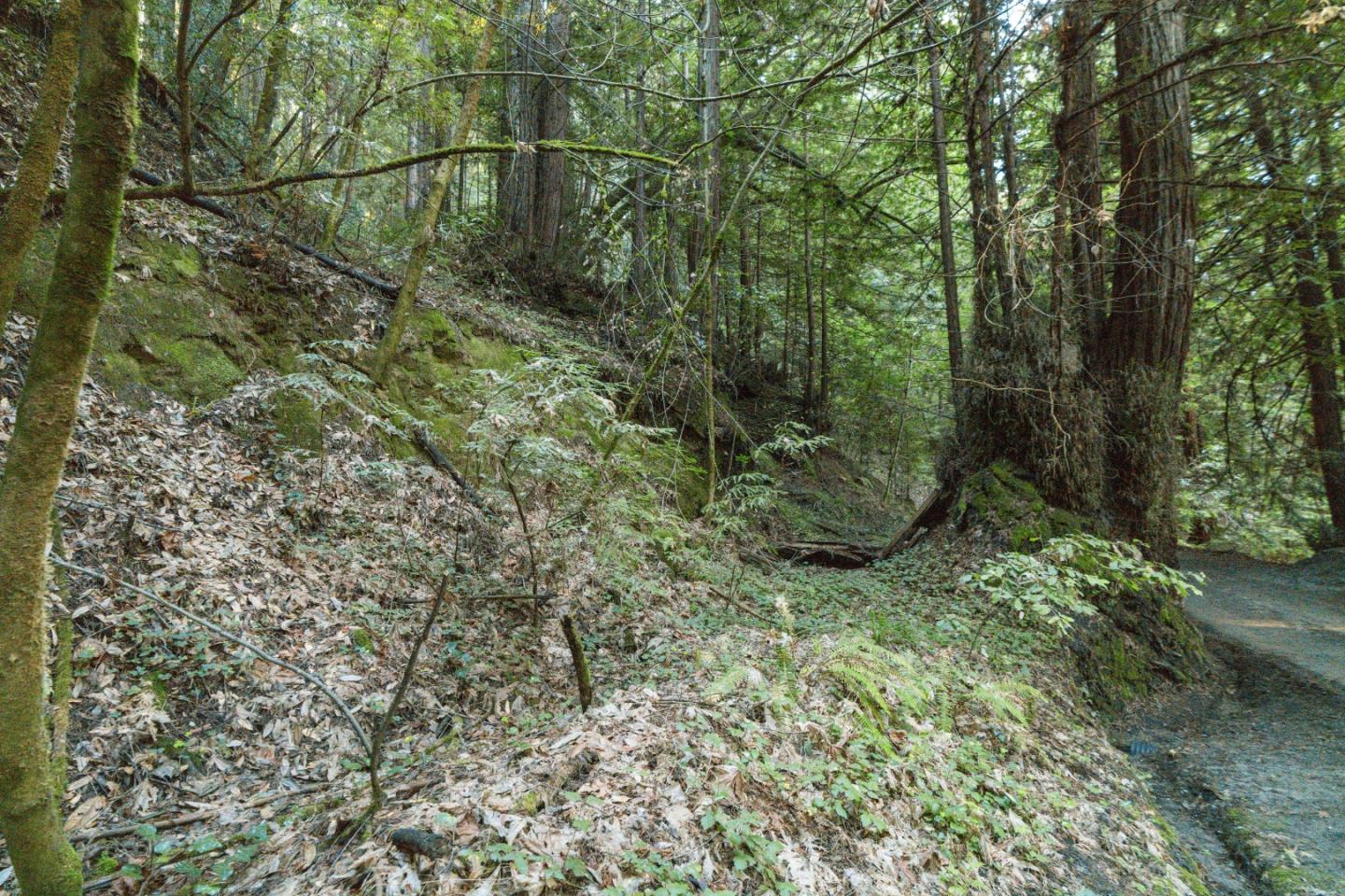 Detail Gallery Image 15 of 24 For 0 Pringle Ln, Soquel,  CA 95073 - – Beds | – Baths