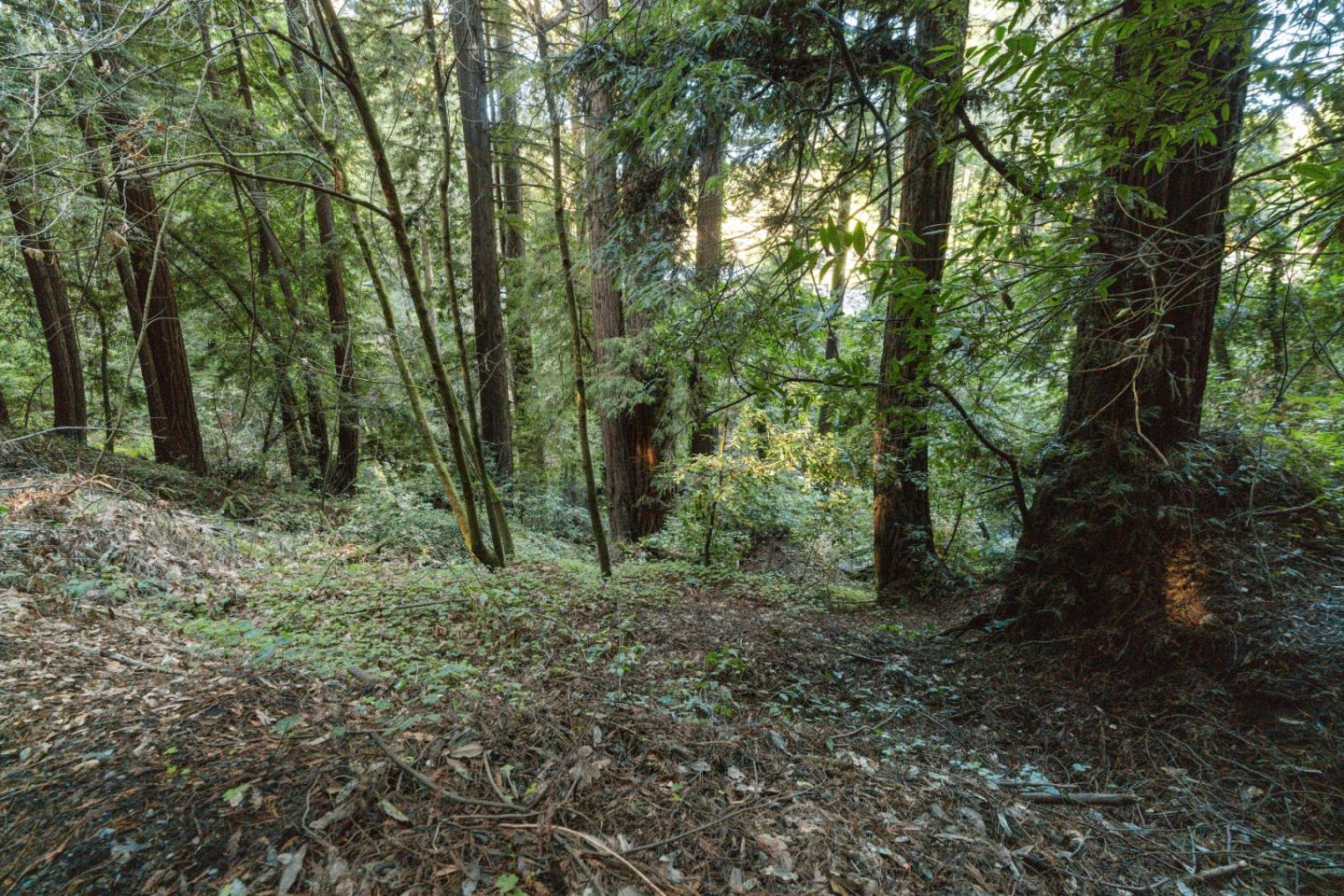 Detail Gallery Image 16 of 24 For 0 Pringle Ln, Soquel,  CA 95073 - – Beds | – Baths