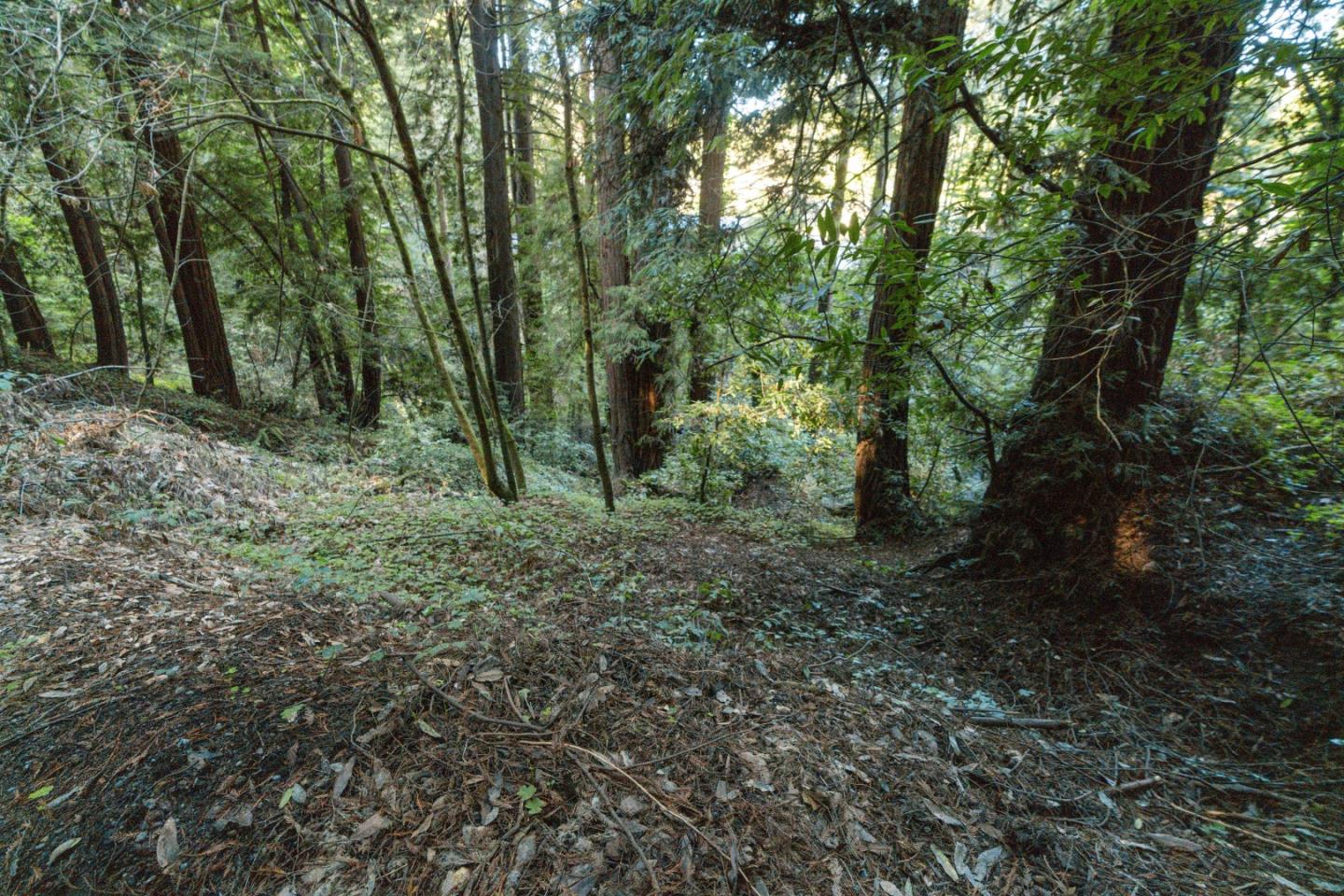 Detail Gallery Image 17 of 24 For 0 Pringle Ln, Soquel,  CA 95073 - – Beds | – Baths