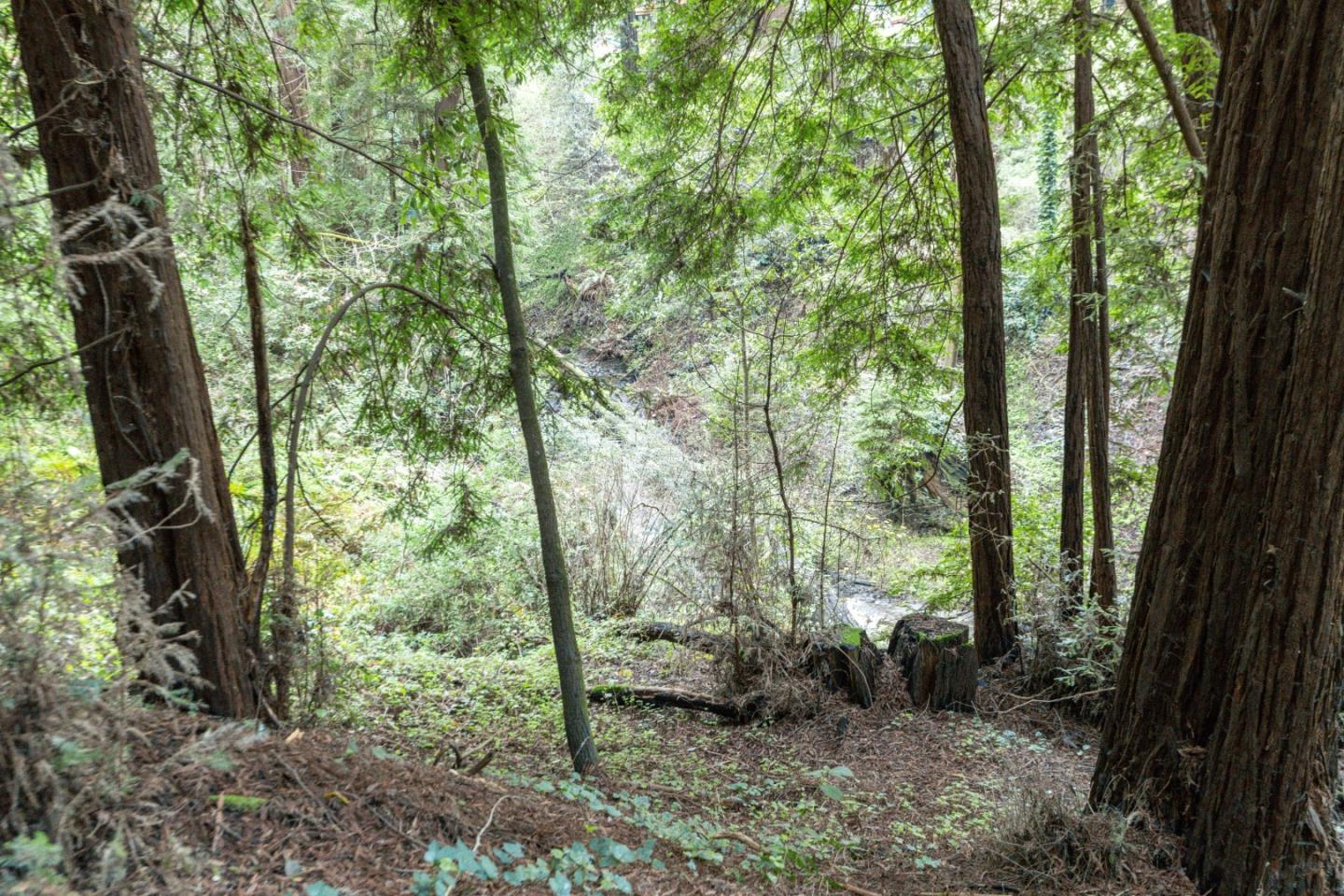 Detail Gallery Image 18 of 24 For 0 Pringle Ln, Soquel,  CA 95073 - – Beds | – Baths