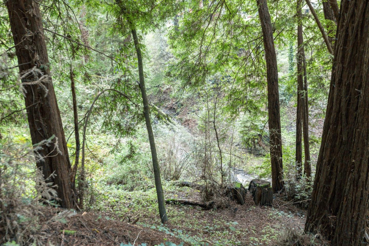 Detail Gallery Image 19 of 24 For 0 Pringle Ln, Soquel,  CA 95073 - – Beds | – Baths