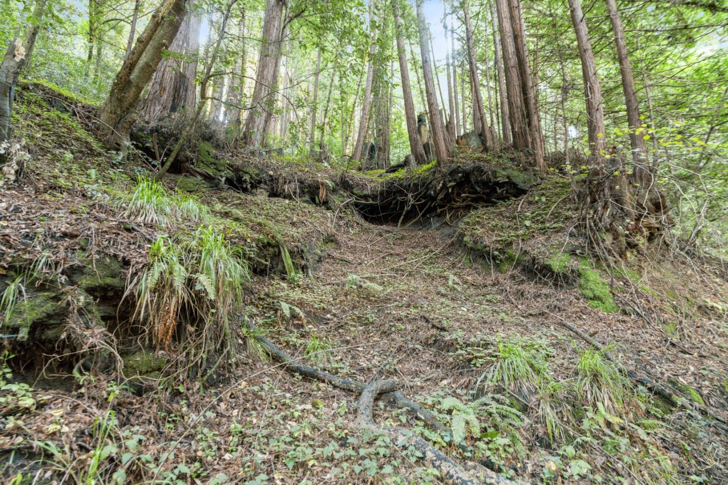 Detail Gallery Image 20 of 24 For 0 Pringle Ln, Soquel,  CA 95073 - – Beds | – Baths