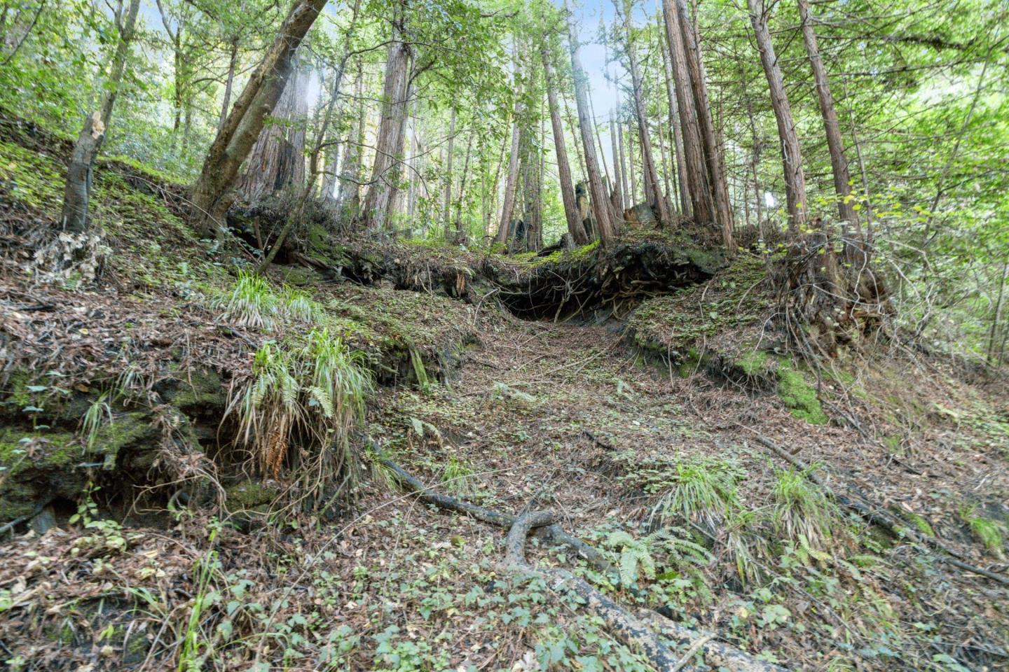 Detail Gallery Image 21 of 24 For 0 Pringle Ln, Soquel,  CA 95073 - – Beds | – Baths