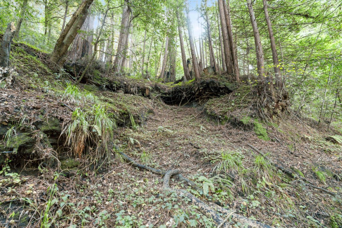 Detail Gallery Image 22 of 24 For 0 Pringle Ln, Soquel,  CA 95073 - – Beds | – Baths